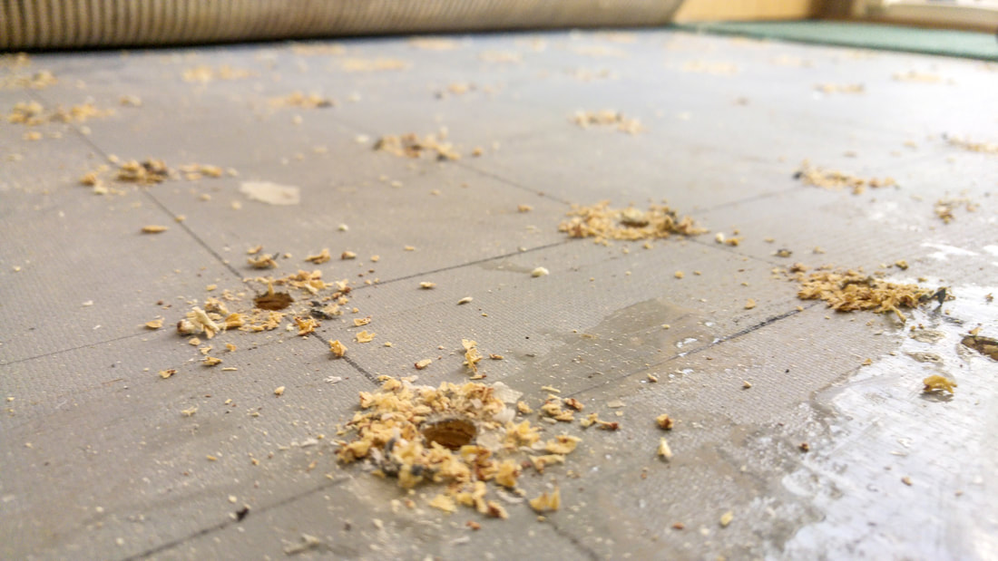 Picture of caravan floor delamination repair